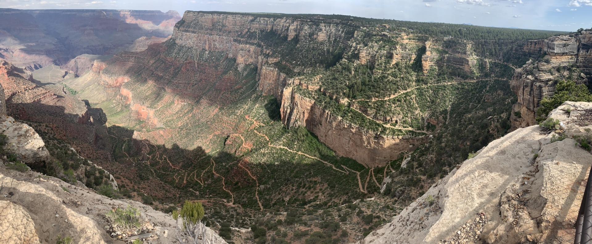 Panoramic view of a vast, deep canyon with layered rock and green vegetation.