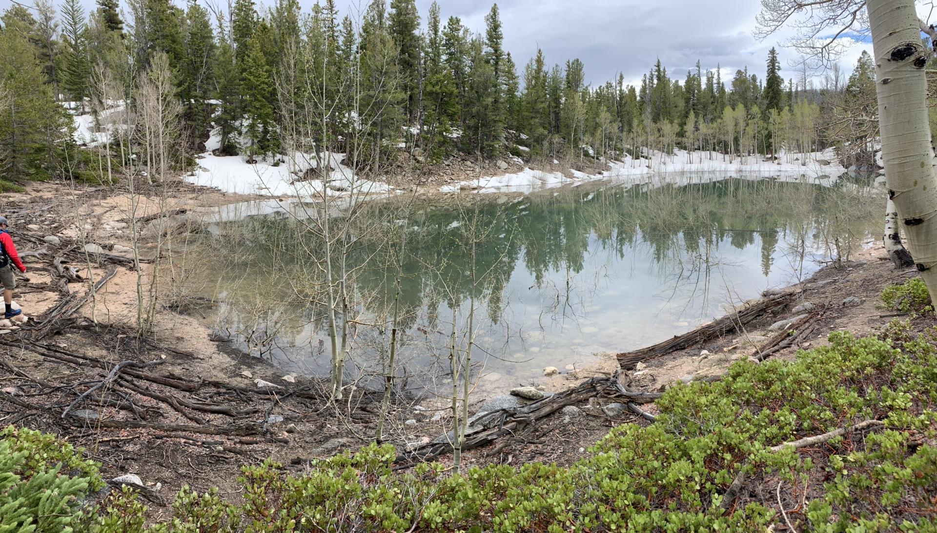 A person stands by a clear lake surrounded by snow, evergreens, and bare trees.