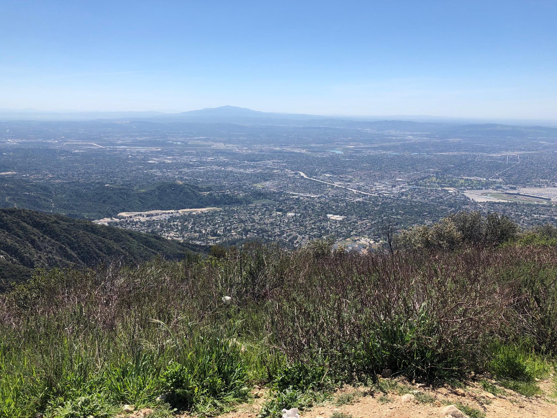 A wide view of a sprawling city from a brush-covered mountain peak.
