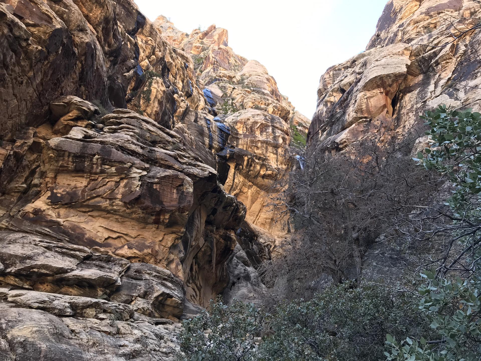 Towering, dark rock canyon walls with a small waterfall and sparse trees.