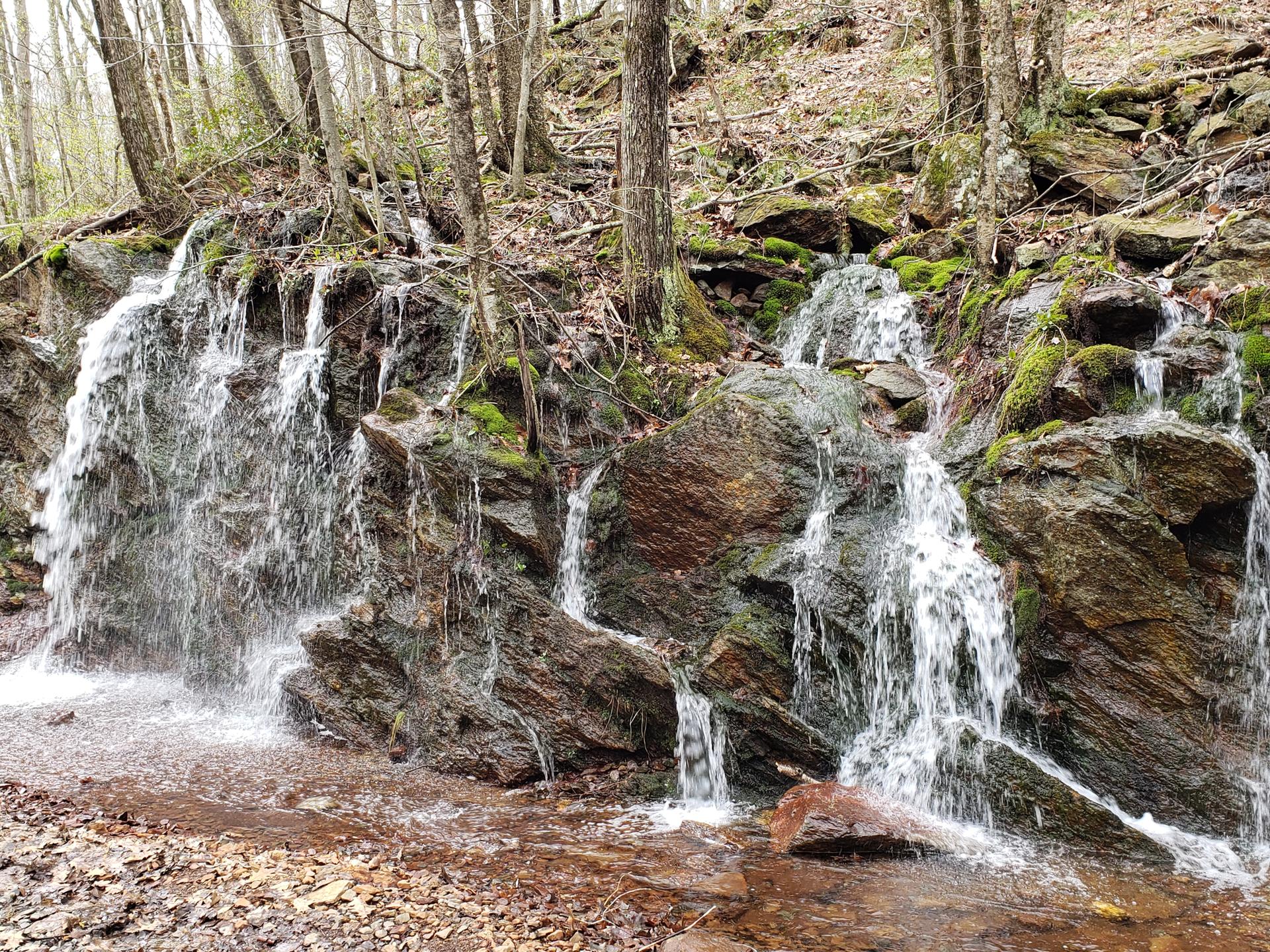 Small waterfalls cascading over mossy rocks in a wooded area.
