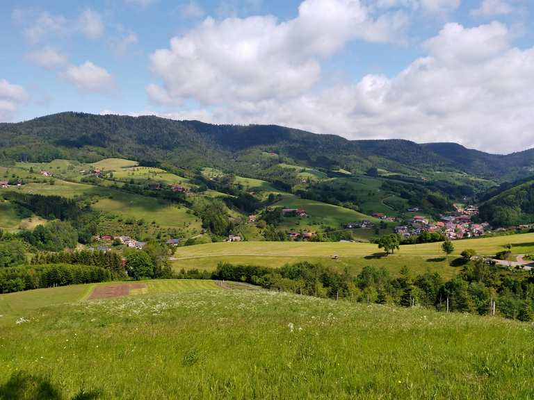 Langer Baumstamm Vesperweg Routes for Walking and Hiking | Komoot