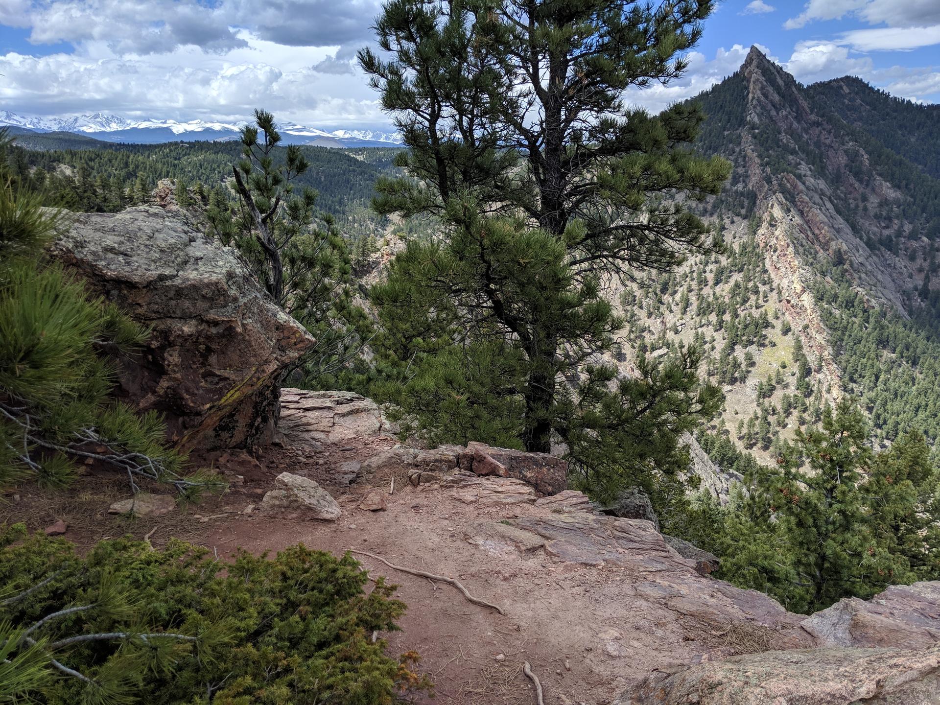 A rocky overlook with pine trees, facing a jagged mountain peak and valley.