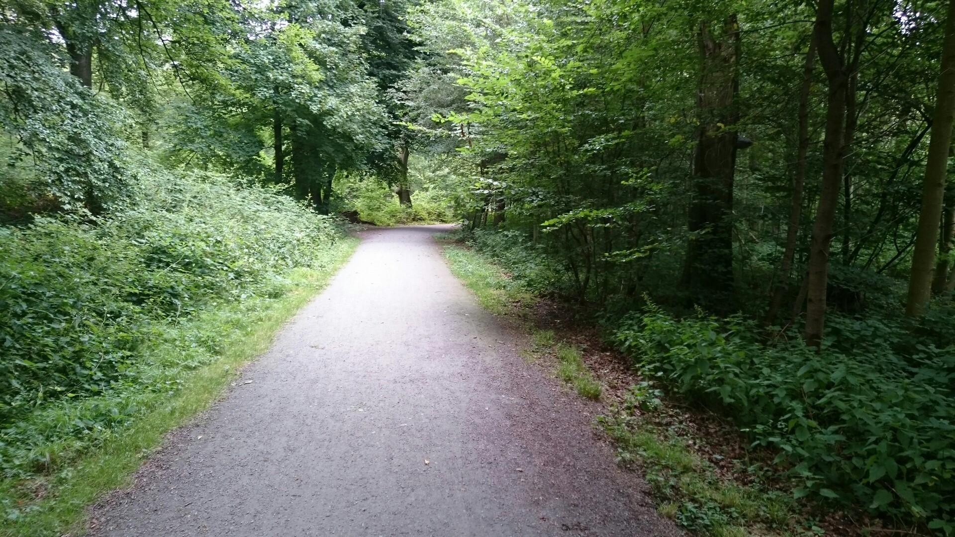 Hallenbad In Der Nähe Von Castrop-rauxel