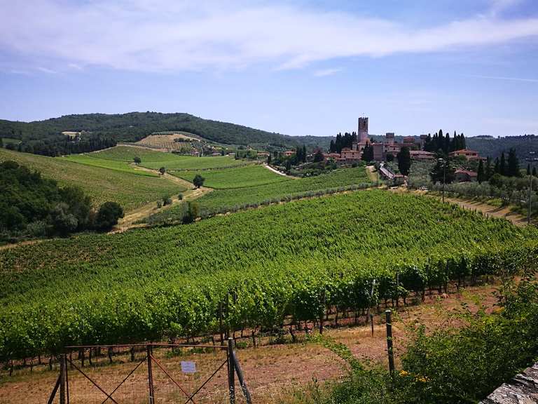 Panorami nei dintorni di Greve in Chianti — Giro ad anello | bike Tour