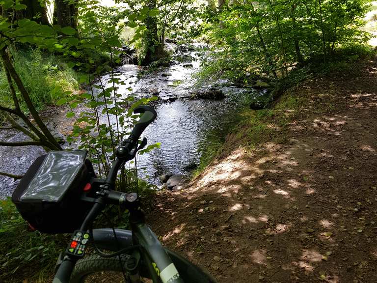 singletrail ettlingen