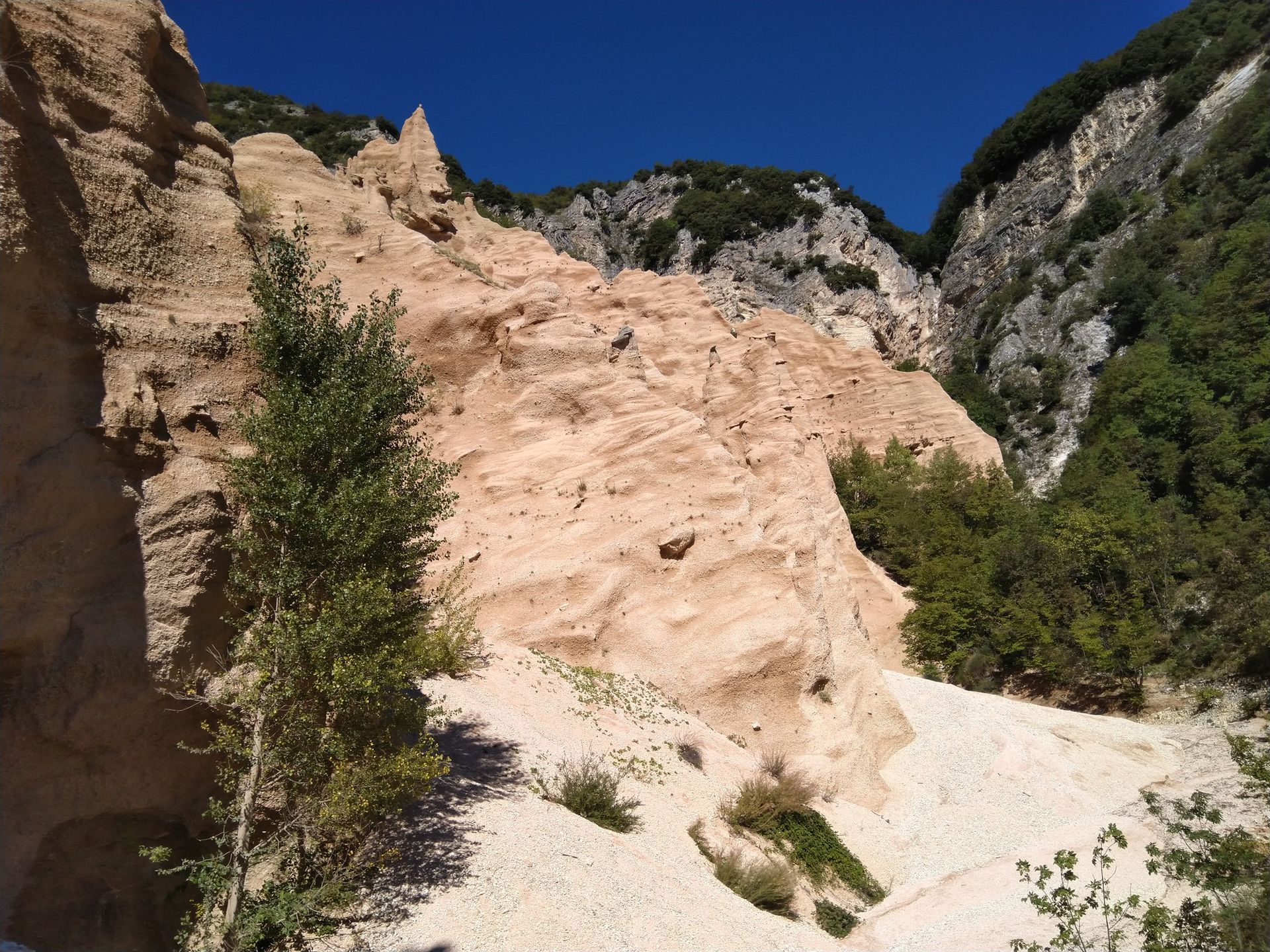 Rostfarbene Felspinnacles der Lame Rosse mit dem Wald dahinter
