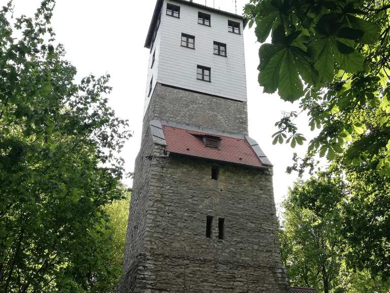 Moritzberg Radtouren und Radwege komoot