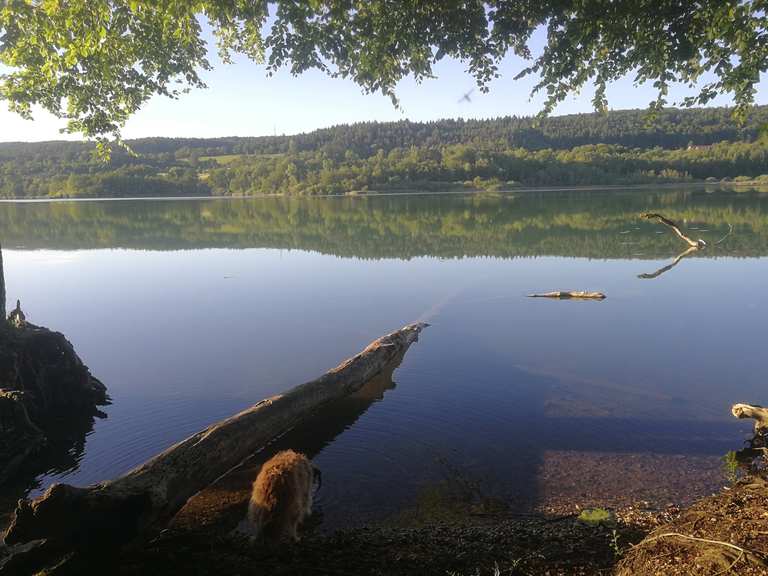 Mindelsee Wanderungen und Rundwege komoot