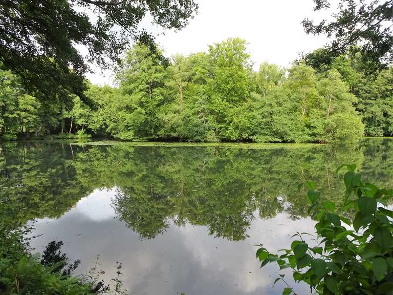 47+ Rodenbeker Teich, Die geländehöhe beträgt zwischen 15 und 20