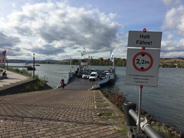 Fähre Ingelheim Oestrich Winkel Ingelheim am Rhein