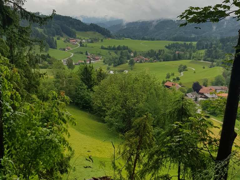 Burgstelle Greifenberg: Wanderungen und Rundwege | komoot
