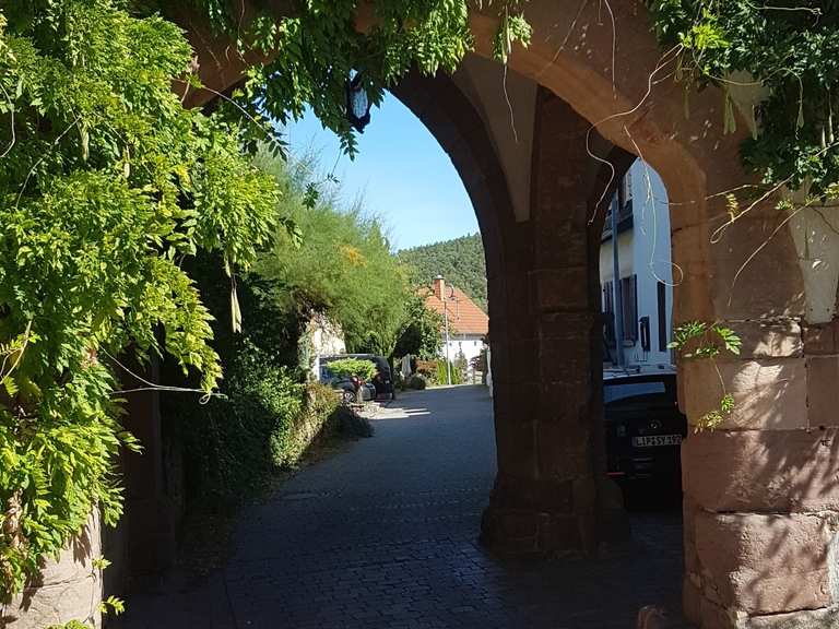 Höningen Wanderungen und Rundwege komoot
