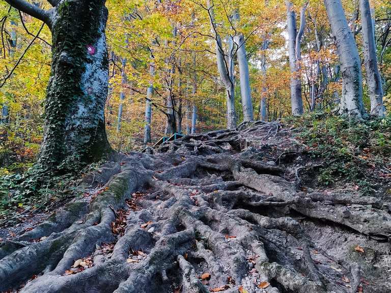 Ivanščica peak 1061m wandelroutes en hikes | Komoot