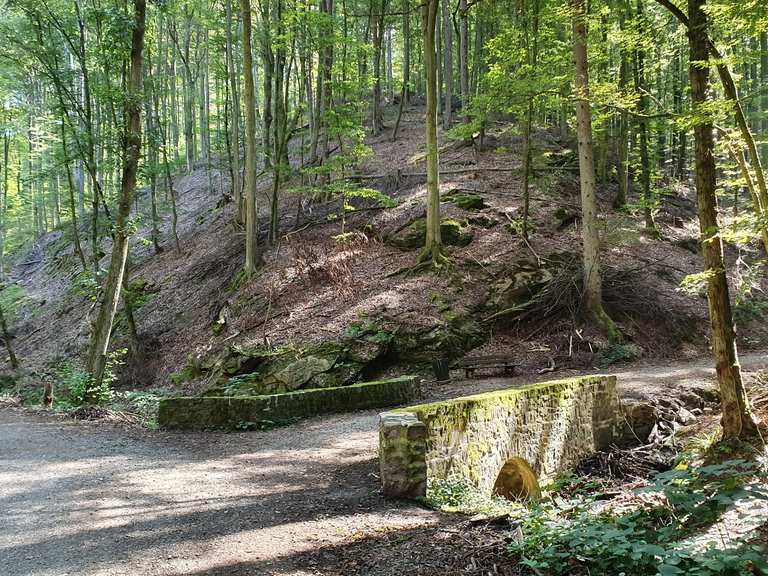 Rückersbacher Schlucht Mountain Bike Trails & Tracks | Komoot