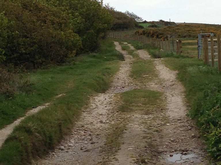 Worsley Trail Near Limerstone Down Mountain Bike Trails & Tracks | Komoot