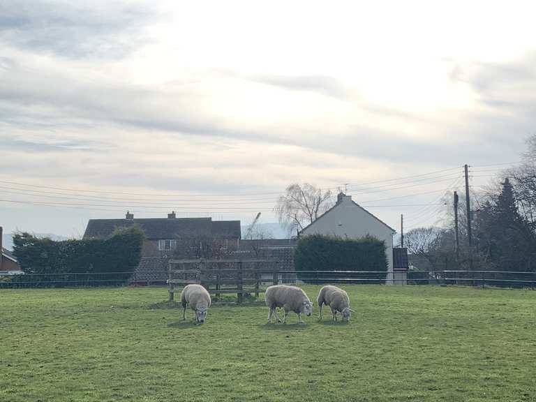The Rusty Bike Cafe Stokesley to Seamer Connector Loop from Castleton