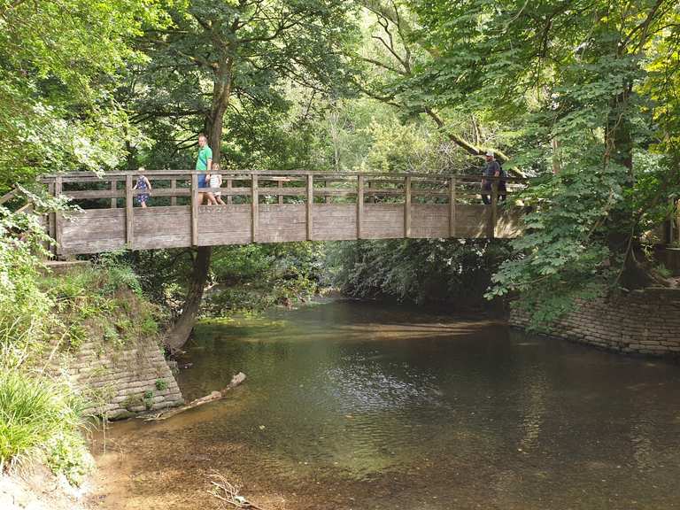 River Mole stepping stones Routes for Walking and Hiking | Komoot