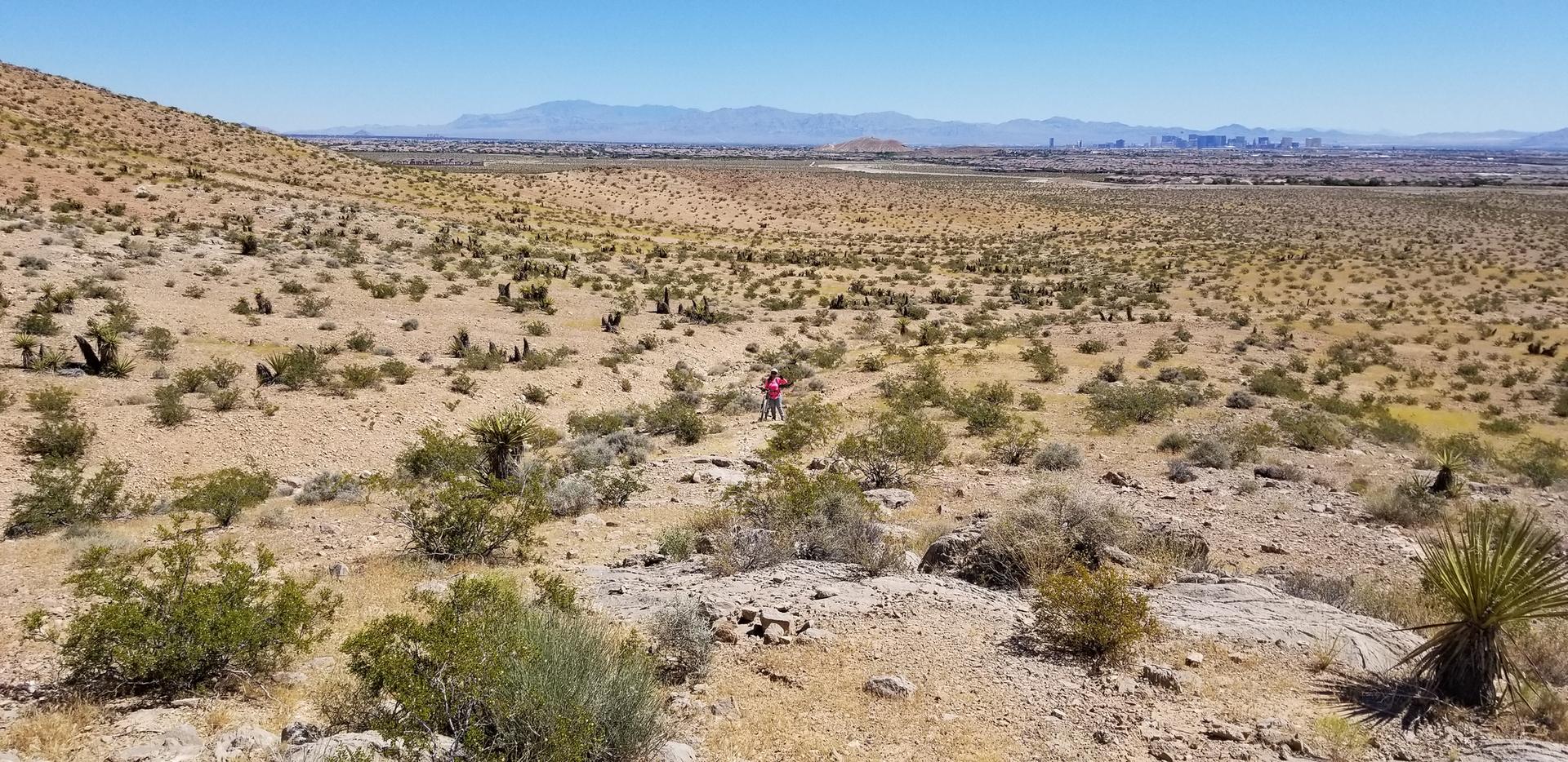 A person in red hiking across a vast sunny desert landscape.