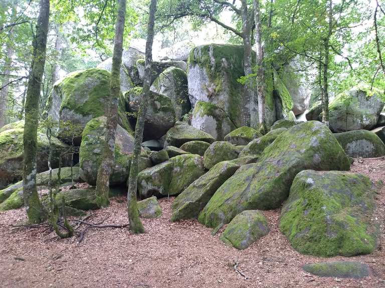Günterfelsen Furtwangen im Schwarzwald, SchwarzwaldBaarKreis