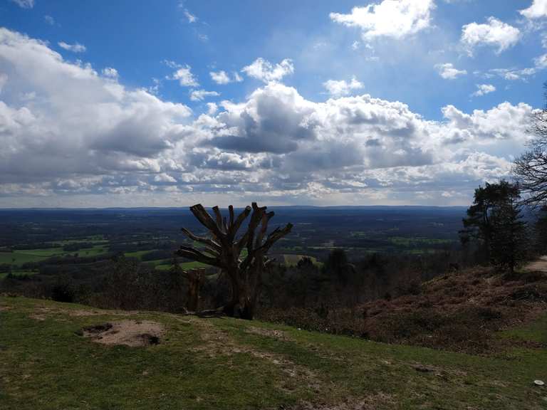 Leith Hill Routes for Walking and Hiking Komoot