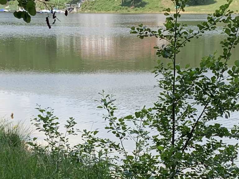 Biergarten und Steakhouse Riverdam: Wanderungen und Rundwege  komoot