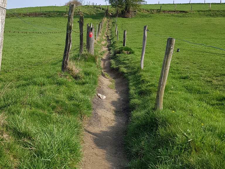 Steiler Abstieg übers Feld Windrather Kapelle Runde von Donnenberg