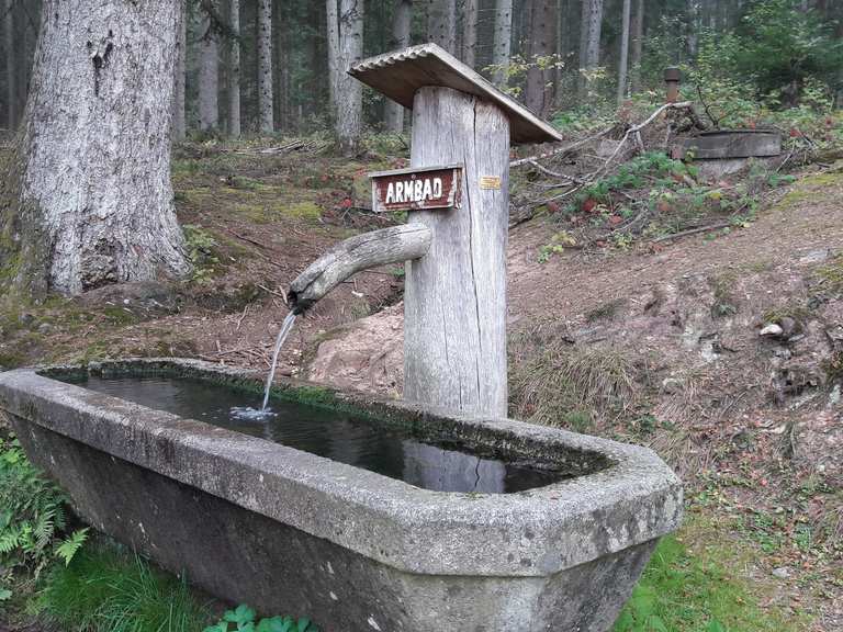 KneippBrunnen von 1883 Wanderungen und Rundwege komoot