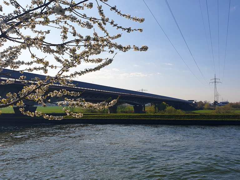 Neckar-Brücke B6 - Feudenheim/Seckenheim 🚴‍♂️ - Ilvesheim ...