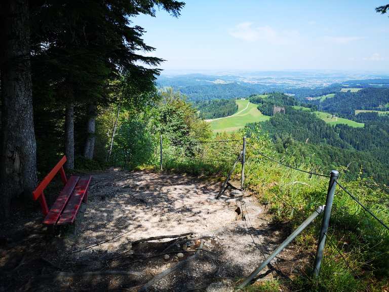 Höchster Punkt des Kantons Thurgau (991.1 m) wandelroutes en hikes | Komoot