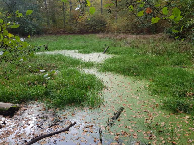 Sieben Teiche Routes for Walking and Hiking Komoot