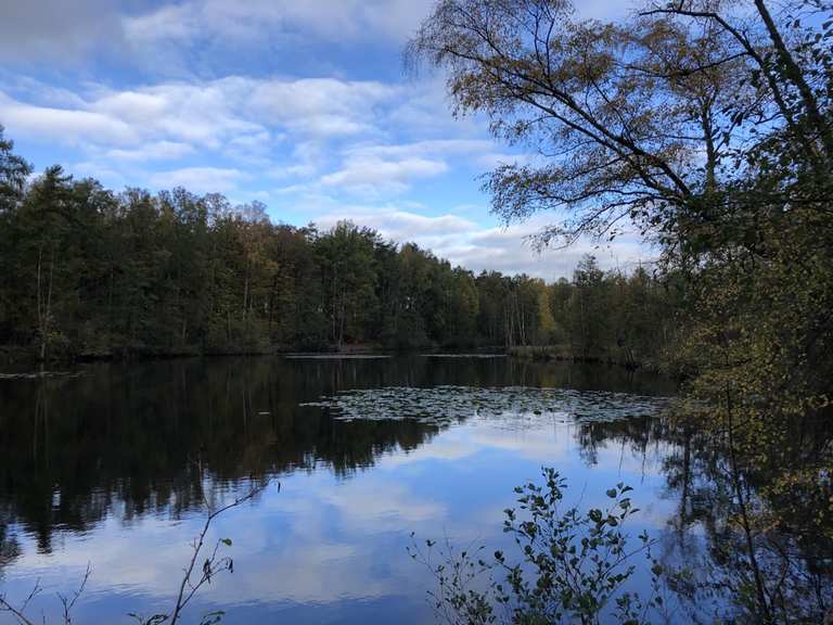 Kupferteich Nord Wanderungen und Rundwege komoot