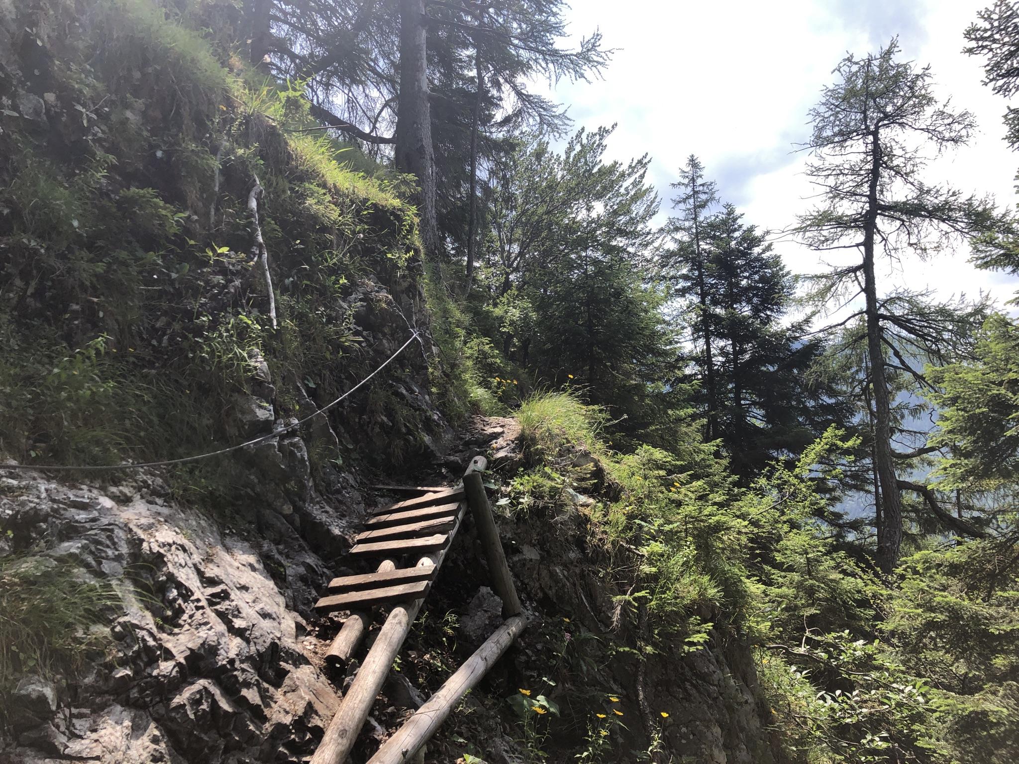 Leitersteig: Wanderungen Und Rundwege | Komoot