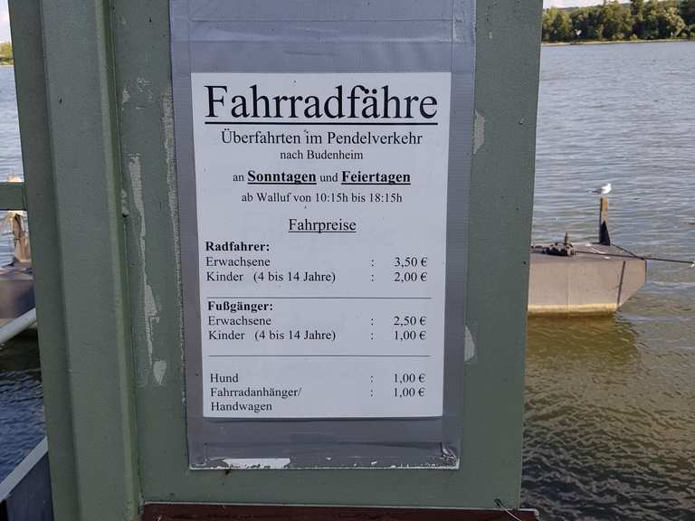 fahrrad und personenfähre budenheim niederwalluf walluf