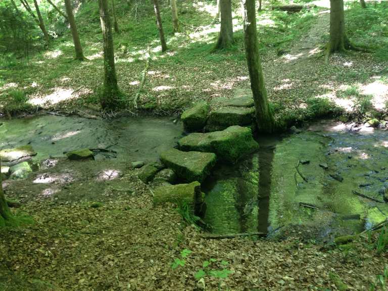 Das Steinerne Sofa – Bernsee und Bernbach Runde von Schloss Weiler | Wanderung