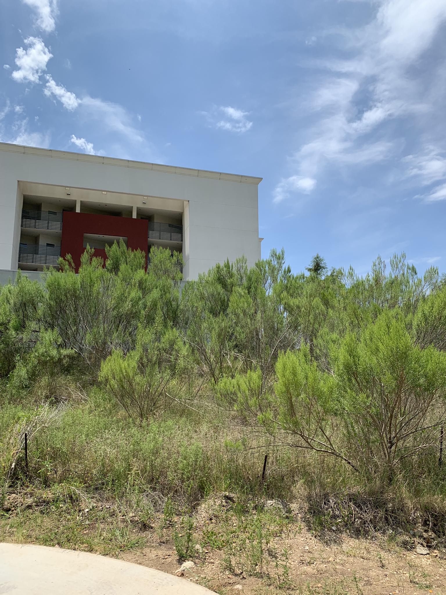 Modern building behind a hill covered in green bushes under a cloudy sky.