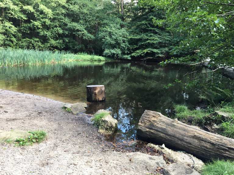 Donoperteich Donoper Teich Runde von Detmold MountainbikeTour Komoot