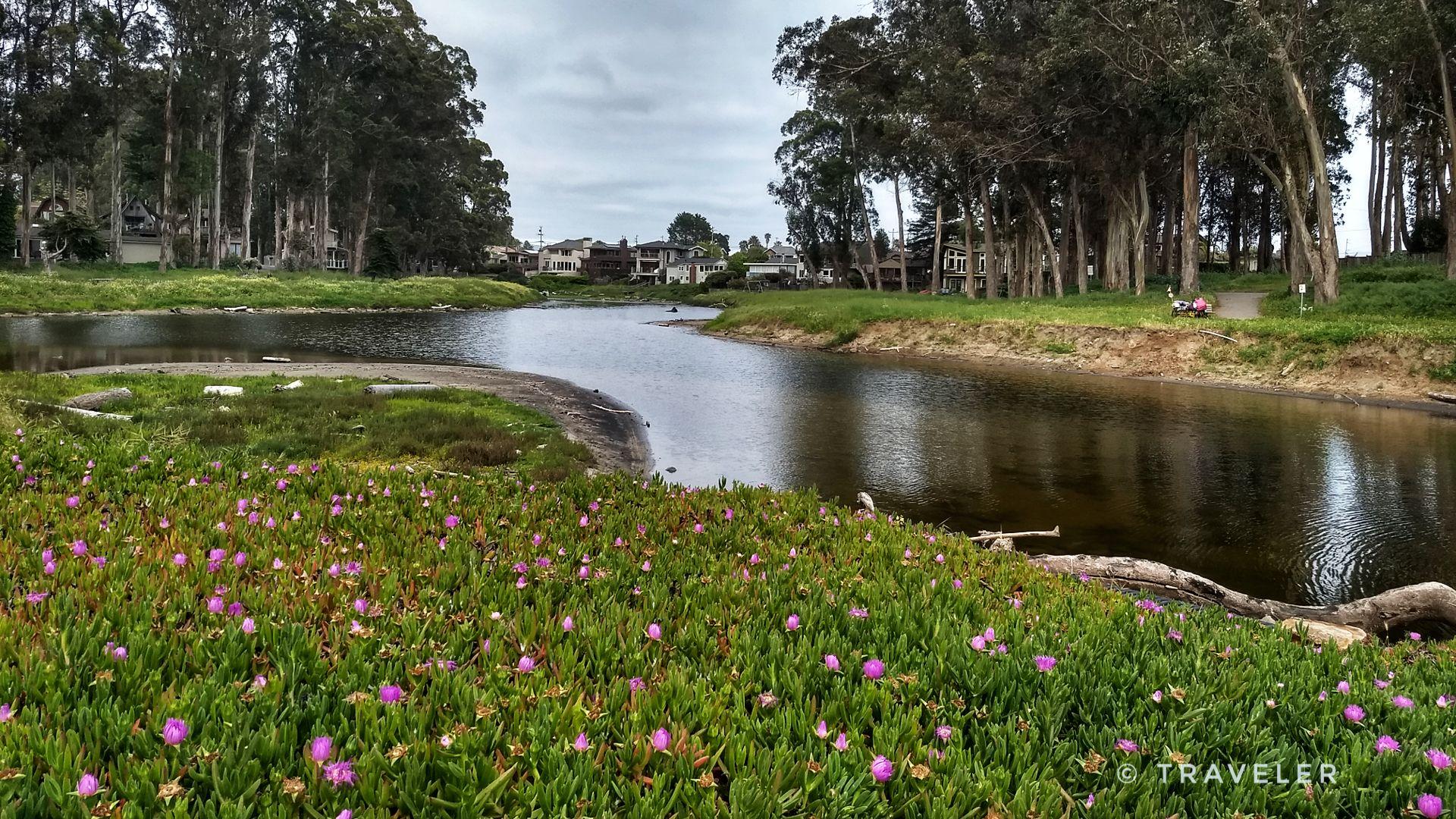 River winding through a field of pink flowers and tall trees.