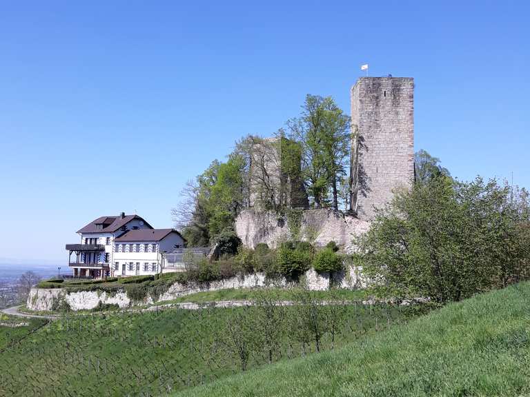 Waldmatter Rheintalblick Burg Windeck Runde von Kappelwindeck