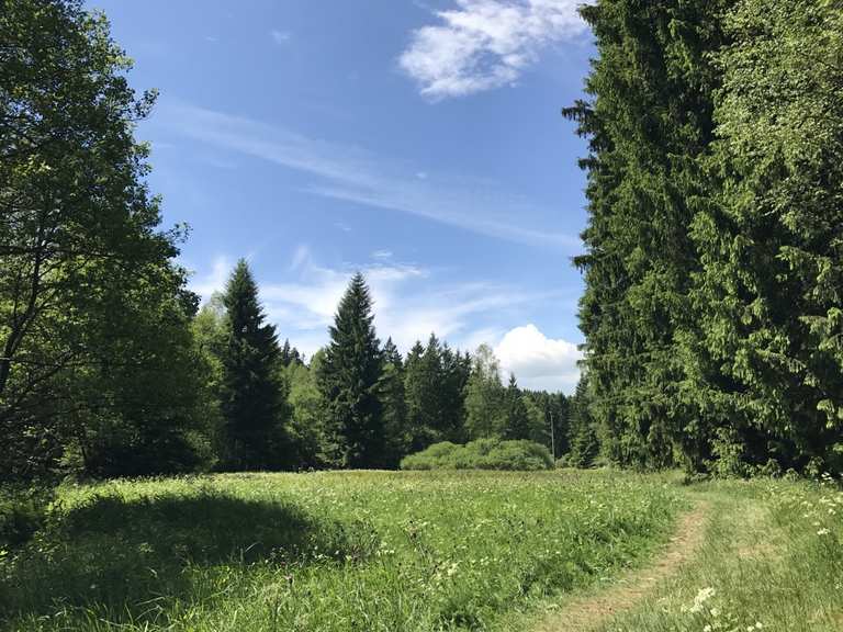 WeicheltMühle Illingmühle Runde von Nassau Wanderung Komoot