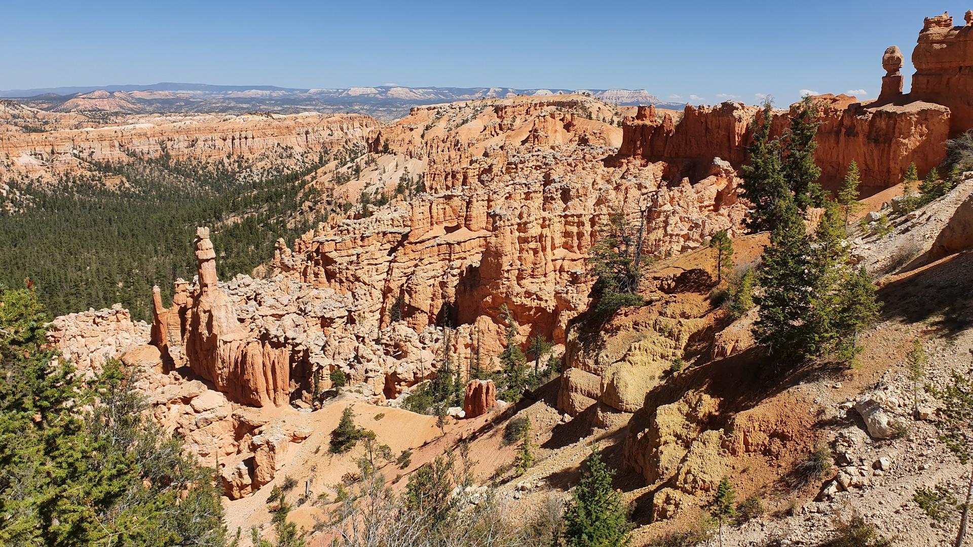 Panoramic view of intricate orange rock formations and green forest.