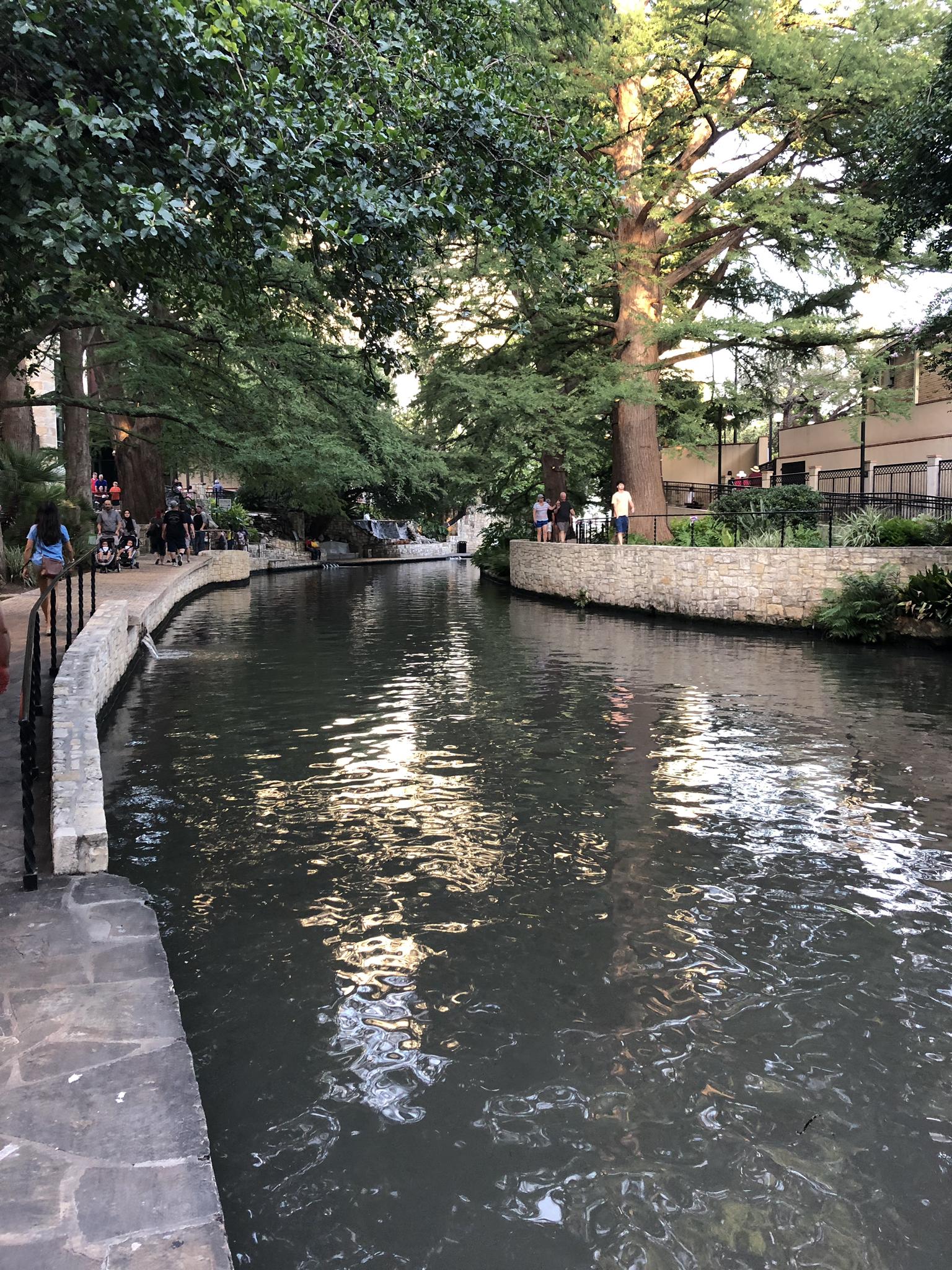 People walk along a stone path beside a river with large trees.