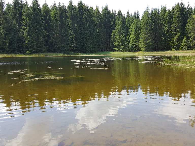 Oberer Hahnebalzer Teich Sentiers et pistes de VTT Komoot