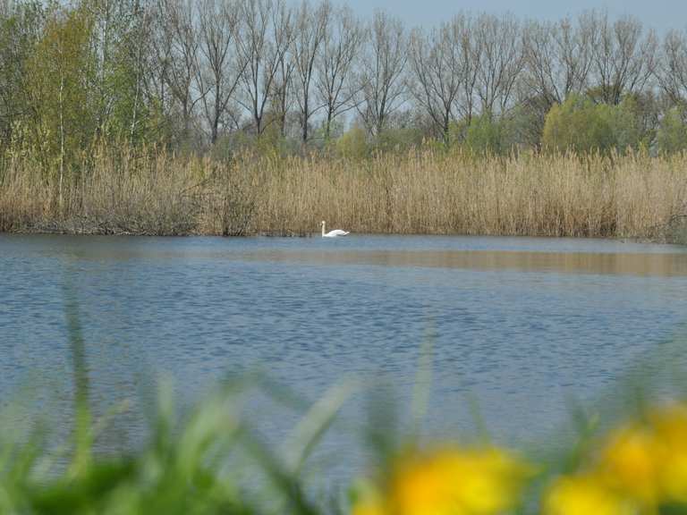 Aussichtspunkt auf die Brietzer Teiche Wanderungen und Rundwege komoot