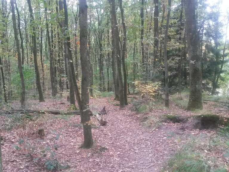 Die Stallberger Teiche im NSG Gagelbestand Mountain Bike Trails