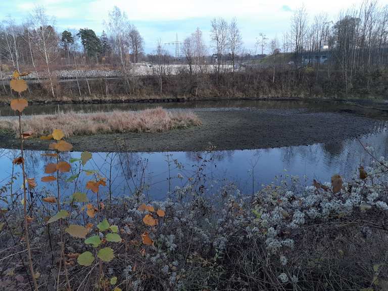 Mandichosee Wanderungen und Rundwege komoot