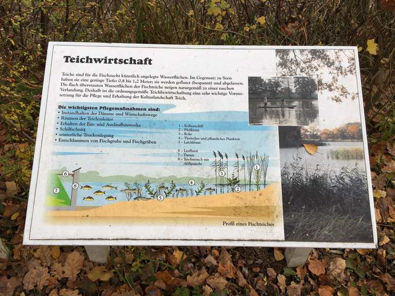 Peitzer Teiche Wanderungen und Rundwege komoot