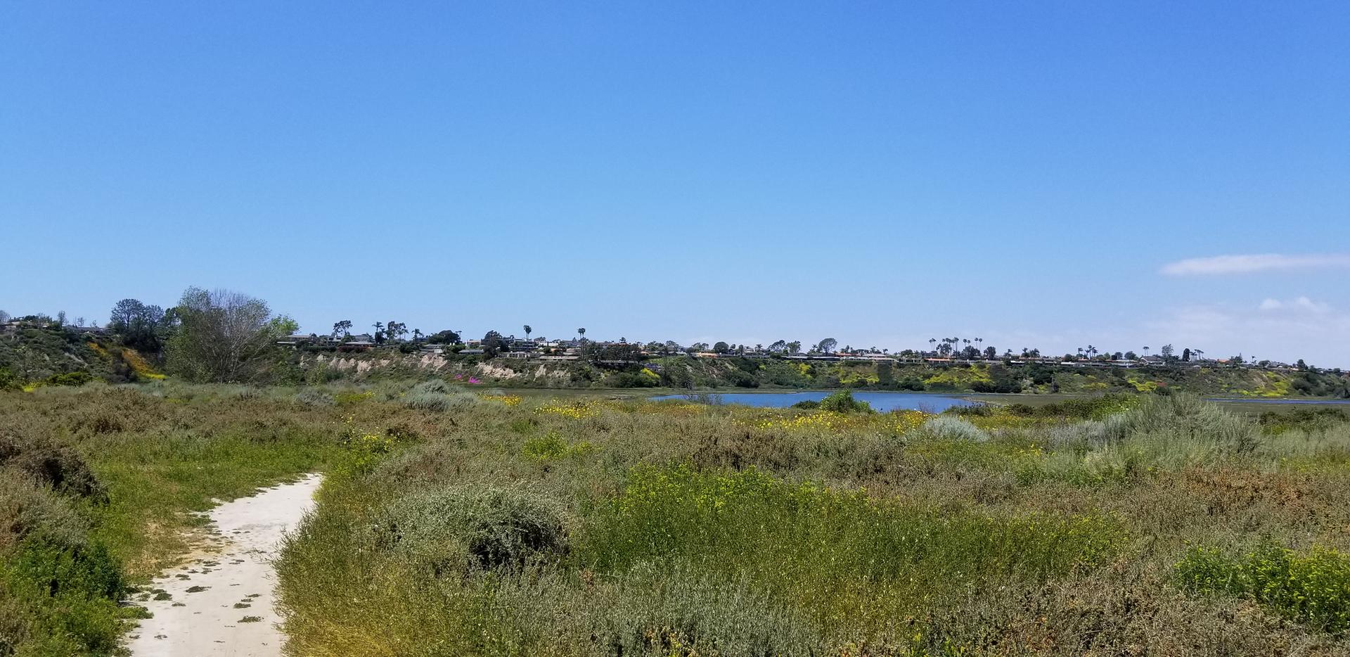 Dirt path through green marshland towards a lake under a clear sky.