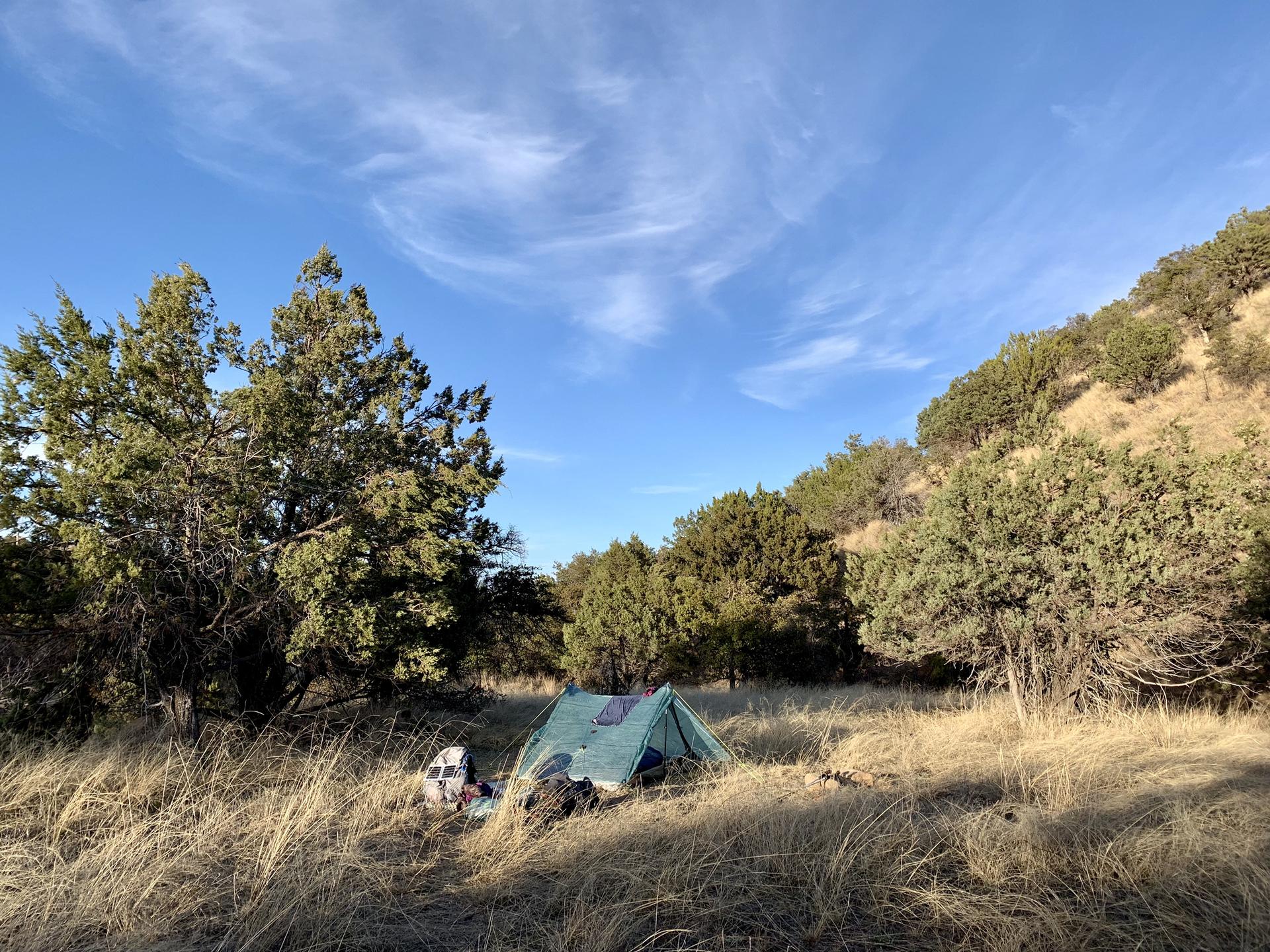 Green tent pitched in dry grass near trees under a bright blue sky.