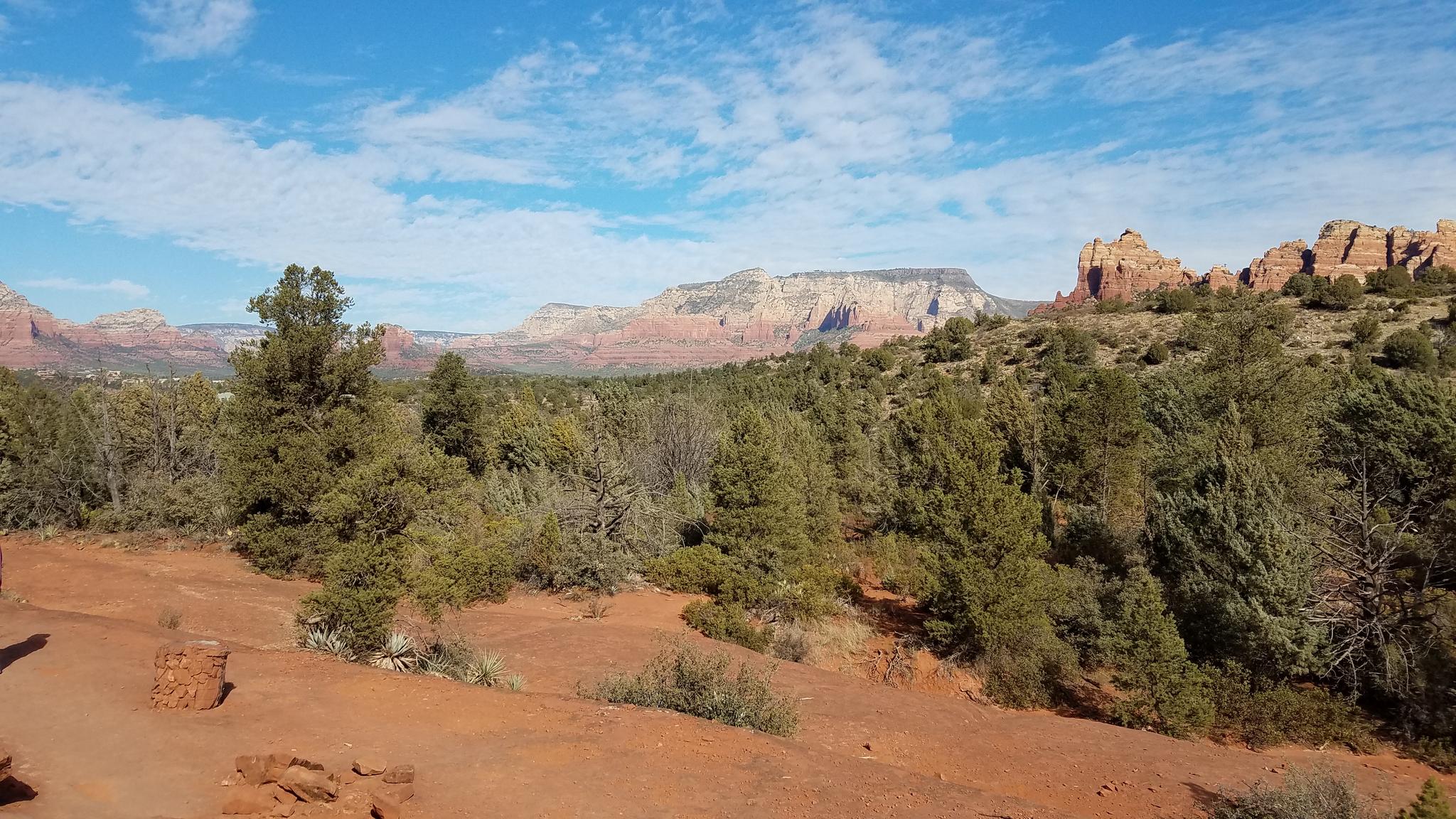 Sunny desert landscape with red rock mountains, green trees, and blue sky.